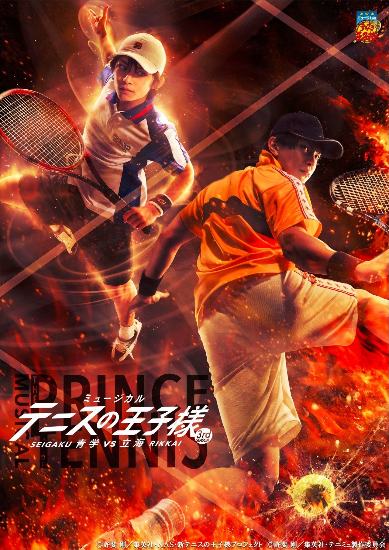 熊猫体育-网球夜战：关东飞鹰队淘汰对手燕赵犀牛队，临门一脚致胜轮换效果显现的简单介绍