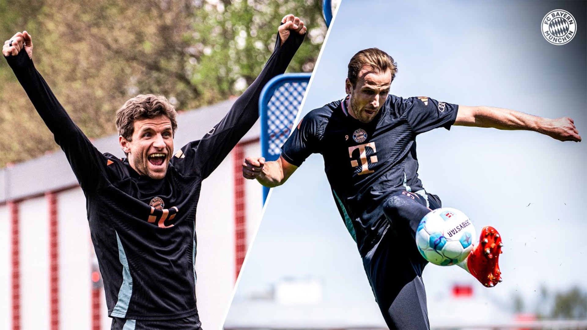 PANDA-凯恩迎来十二赛季高光表现，曼联球迷沸腾！的简单介绍